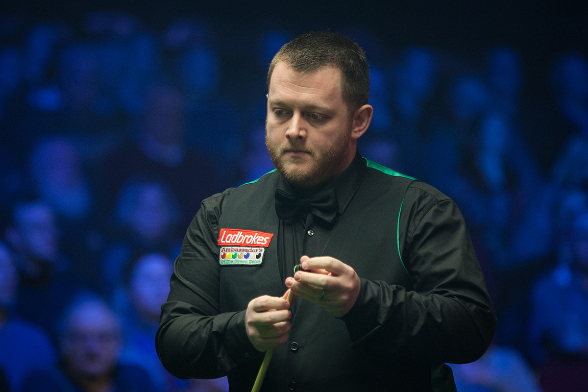 17位专家 17位专家