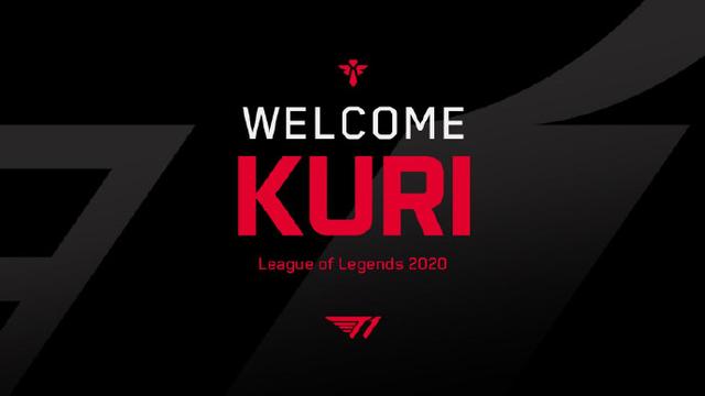 此次的失利 此次的失利