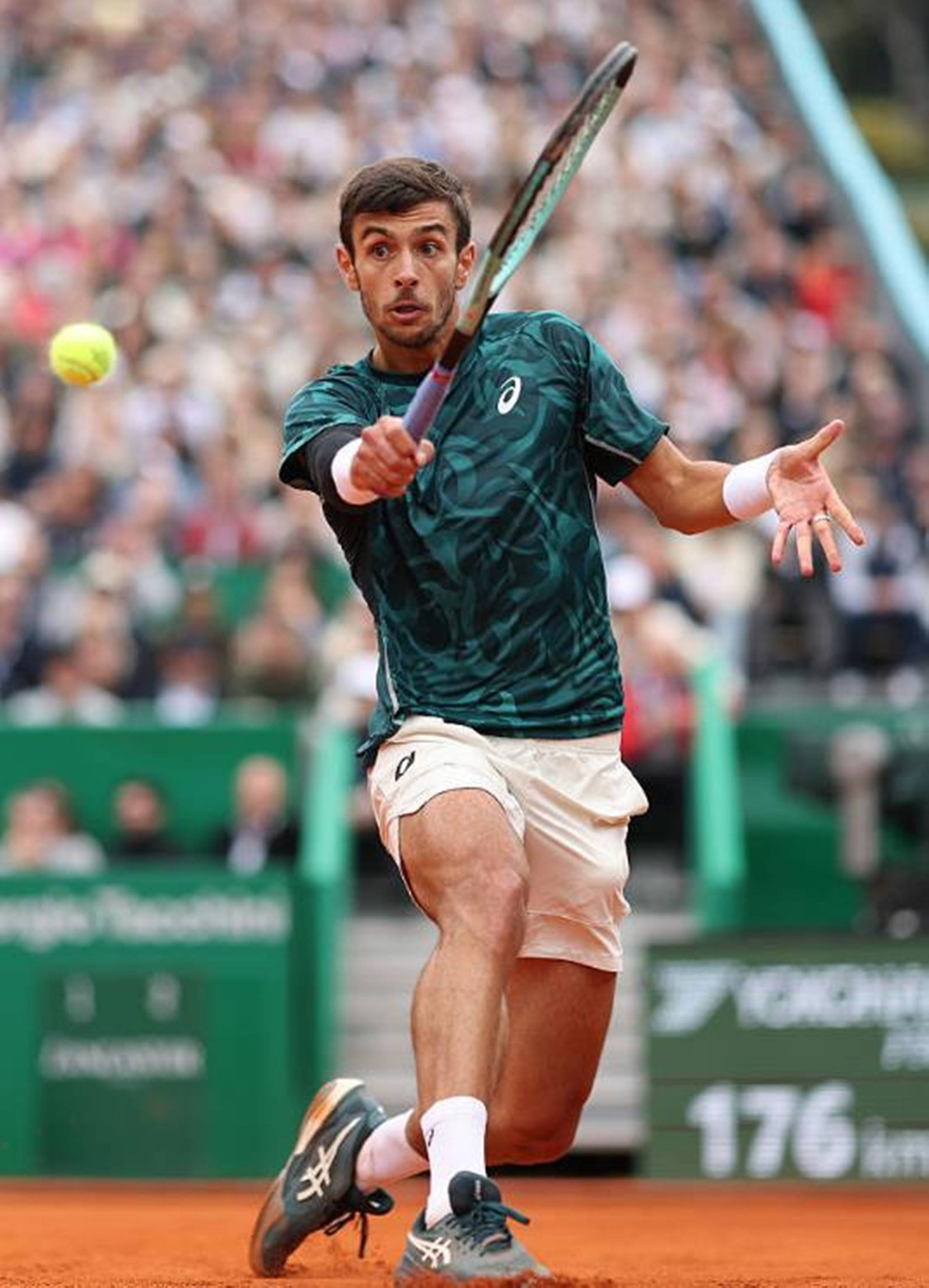 的中超金靴 的中超金靴